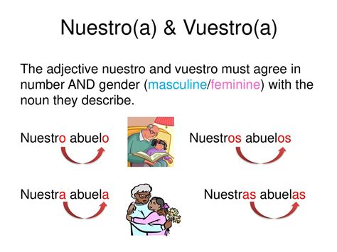 abuelos translate|is abuelo masculine or feminine.